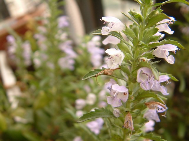 �������شأ����������㣨����ҳ�����ջ�����