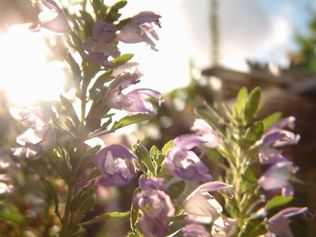 �������شأ����������㣨����ҳ�����ջ�����