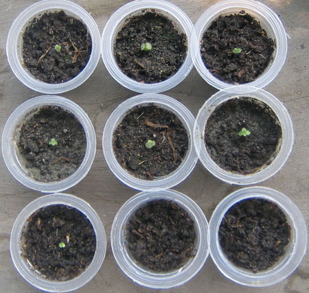 �ﲥ��׼����������......