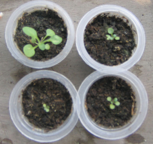 �ﲥ��׼����������......