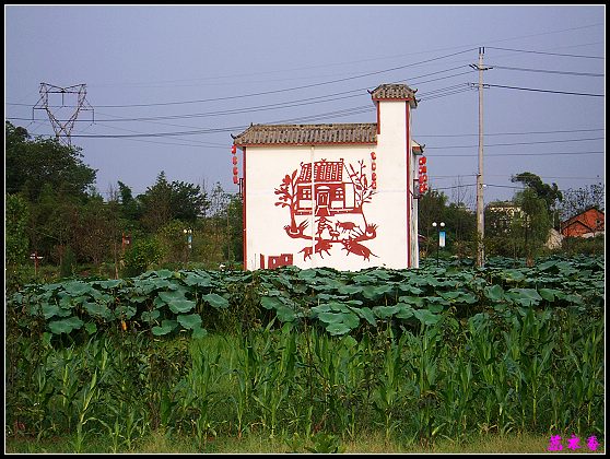 ������ɫ