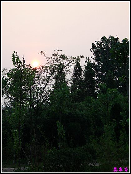 ������ɫ