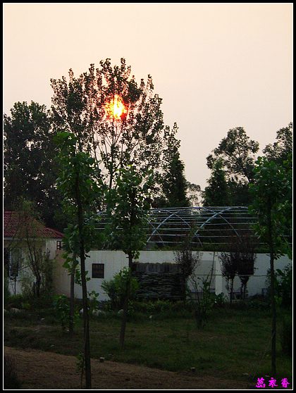 ������ɫ