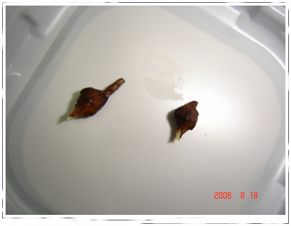 �ҵ��Ĳ�(7���ŵ���۹�, ��ʹ����ѿ��)