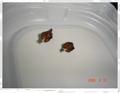 �ҵ��Ĳ�(7���ŵ���۹�, ��ʹ����ѿ��)