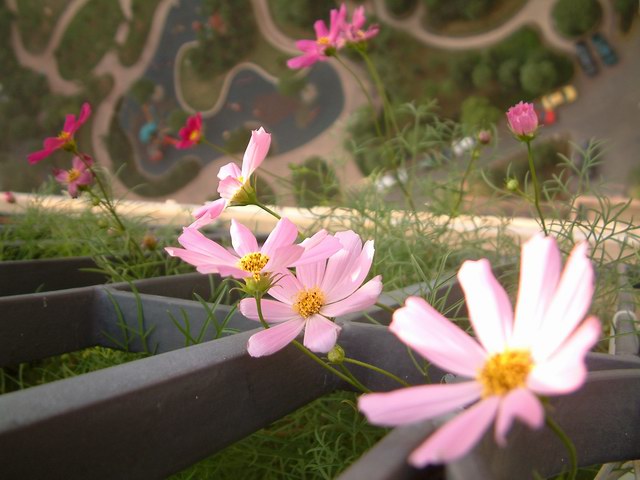 �������شأ����������㣨����ҳ�����ջ�����