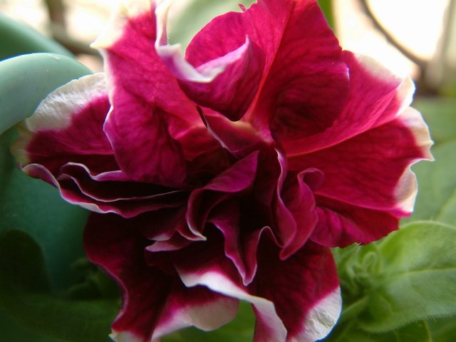 �������شأ����������㣨����ҳ�����ջ�����