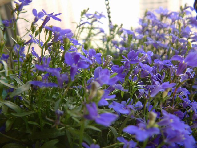 �������شأ����������㣨����ҳ�����ջ�����