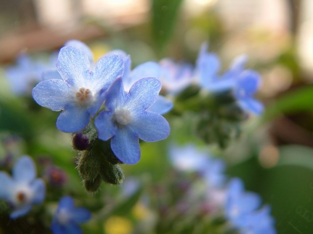 �������شأ����������㣨����ҳ�����ջ�����