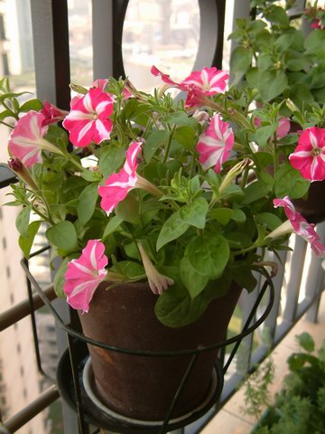 �������شأ����������㣨����ҳ�����ջ�����