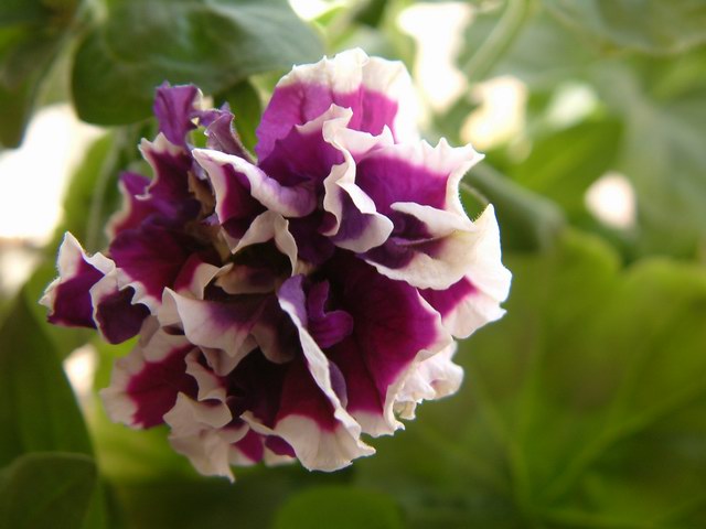 �������شأ����������㣨����ҳ�����ջ�����