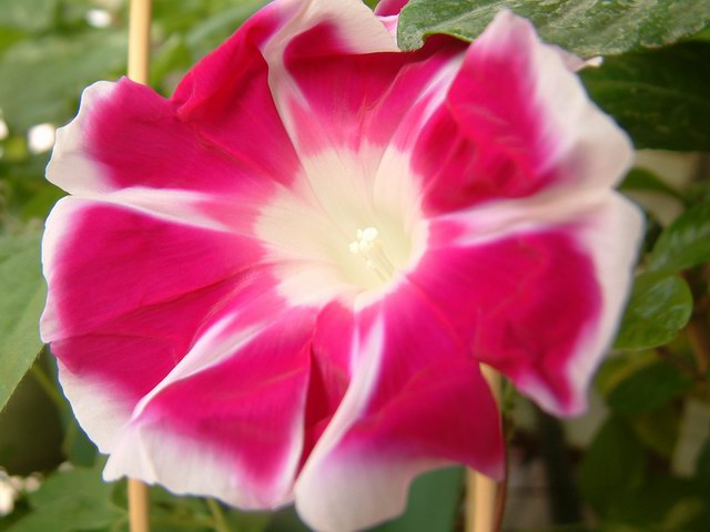 �������شأ����������㣨����ҳ�����ջ�����