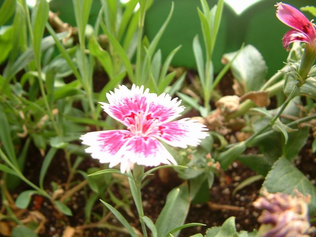 �������شأ����������㣨����ҳ�����ջ�����