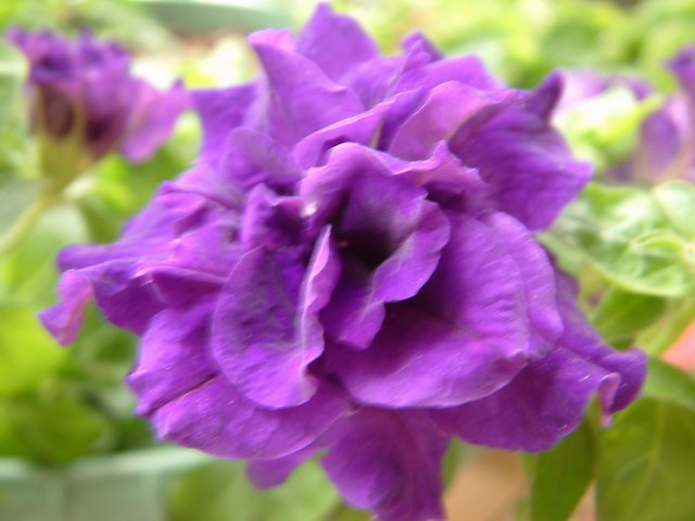 �������شأ����������㣨����ҳ�����ջ�����