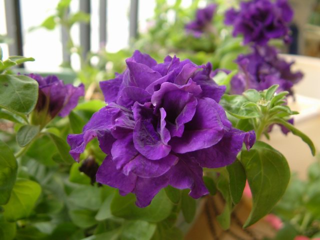 �������شأ����������㣨����ҳ�����ջ�����