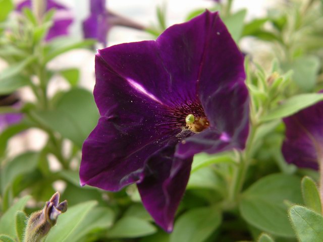 �������شأ����������㣨����ҳ�����ջ�����