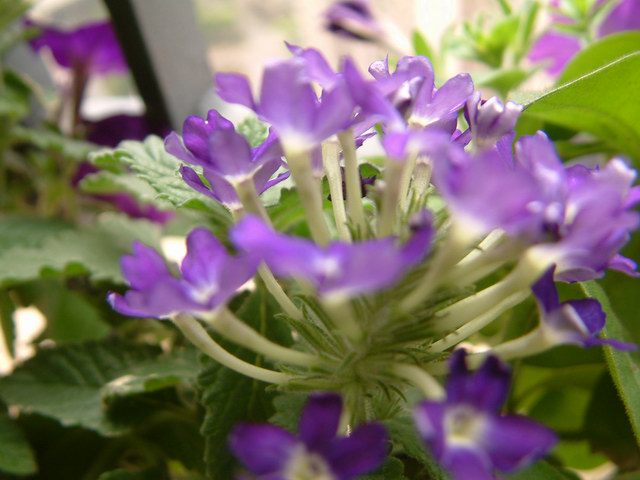 �������شأ����������㣨����ҳ�����ջ�����