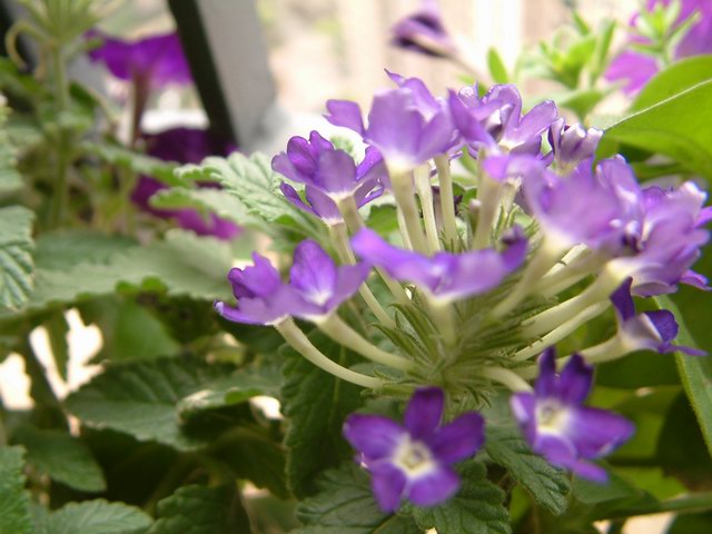 �������شأ����������㣨����ҳ�����ջ�����