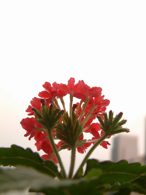 �������شأ����������㣨����ҳ�����ջ�����