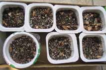 ���ֵ��ֻ��ռ�