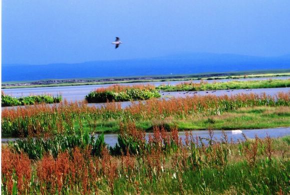 ��ɽ��  ���ߣ�szhgfox