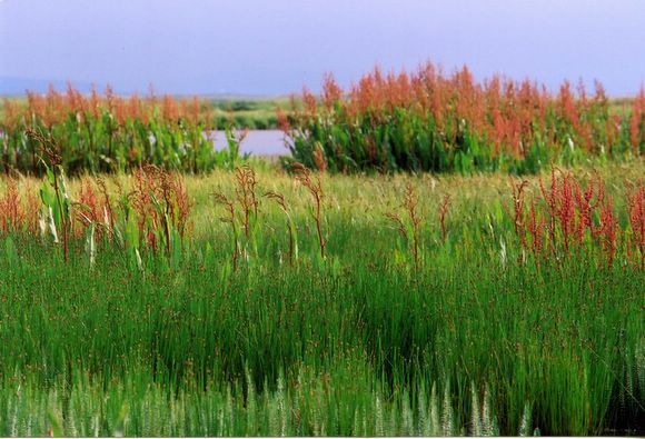 ��ɽ��  ���ߣ�szhgfox