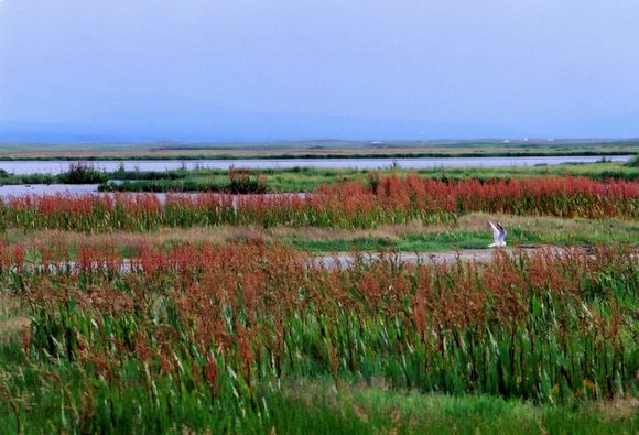 ��ɽ��  ���ߣ�szhgfox