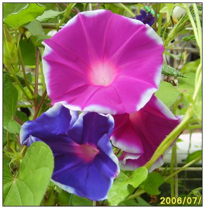 7�·�ţ(7.29���£�