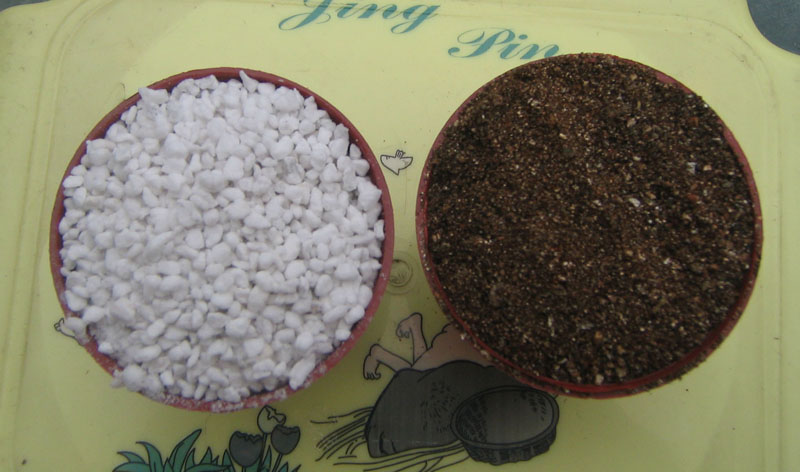 �ﲥ��ʼ��......