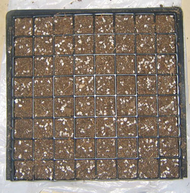 �ﲥ��ʼ��......P13