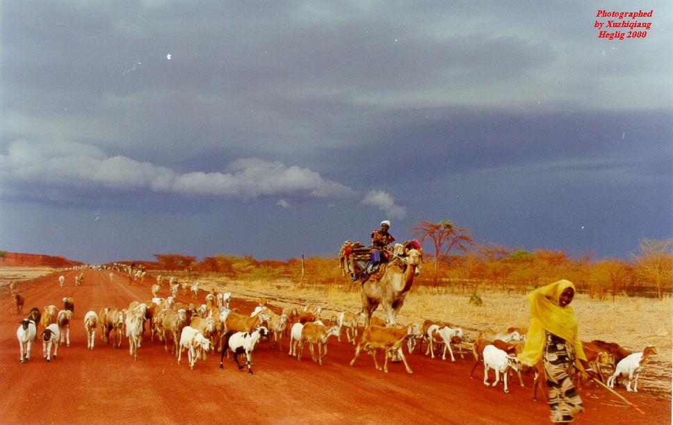 ��Ӱ��Ʒ�����������ң�