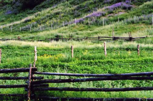 ��ɽ��  ���ߣ�szhgfox