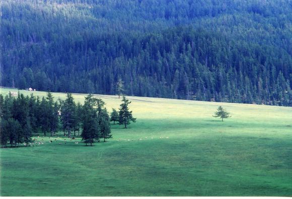 ��ɽ��  ���ߣ�szhgfox