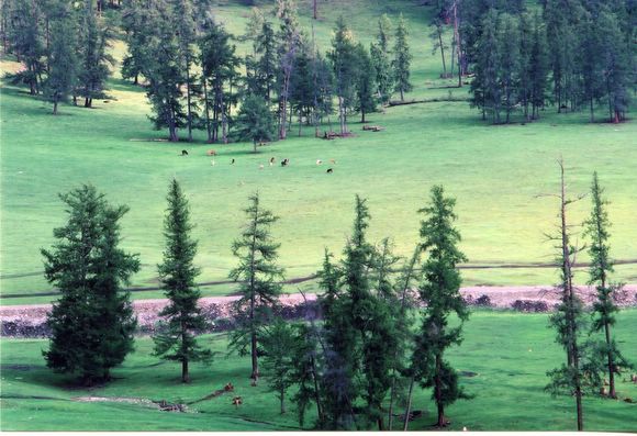 ��ɽ��  ���ߣ�szhgfox