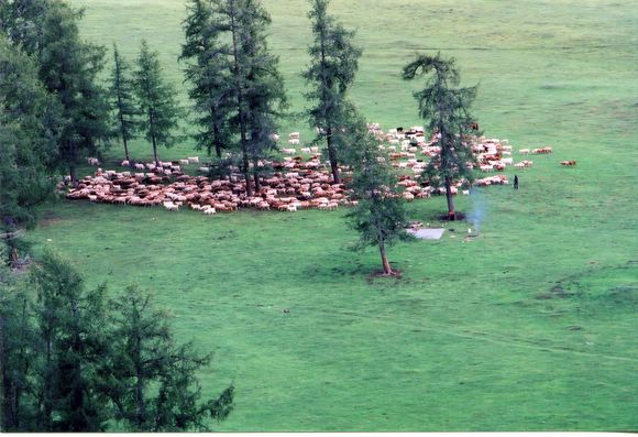 ��ɽ��  ���ߣ�szhgfox