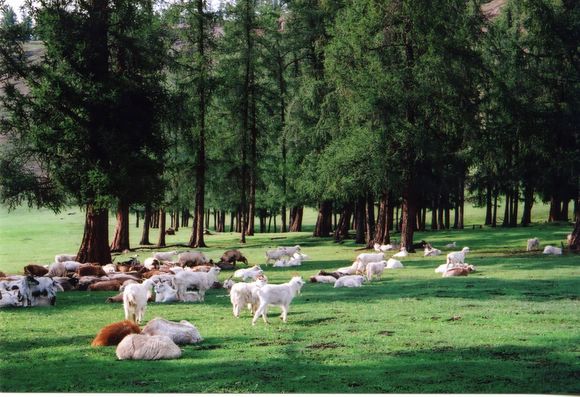 ��ɽ��  ���ߣ�szhgfox