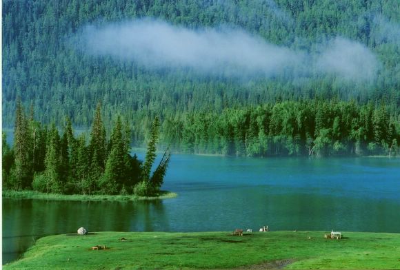 ��ɽ��  ���ߣ�szhgfox