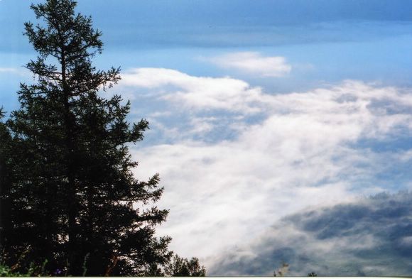 ��ɽ��  ���ߣ�szhgfox