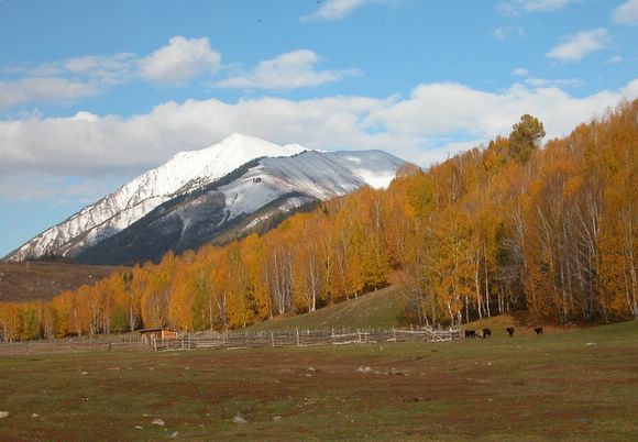 ��ɽ��  ���ߣ�szhgfox