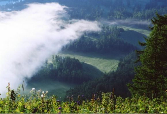 ��ɽ��  ���ߣ�szhgfox