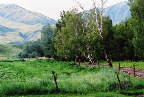 ��ɽ��  ���ߣ�szhgfox