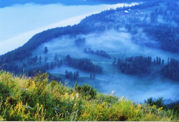 ��ɽ��  ���ߣ�szhgfox