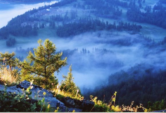 ��ɽ��  ���ߣ�szhgfox