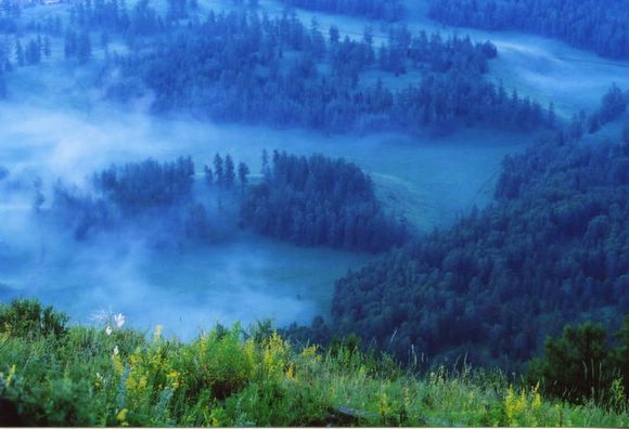 ��ɽ��  ���ߣ�szhgfox