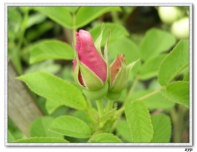 �Ҽһ��ڿ������¼�