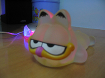 ���ֵ��ֻ��ռ�