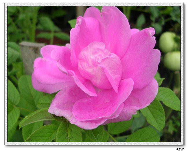 �Ҽһ��ڿ������¼�