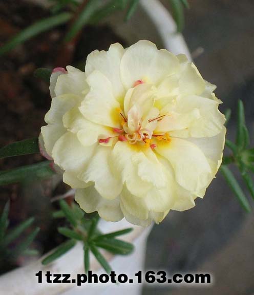 �ҵ�̫����