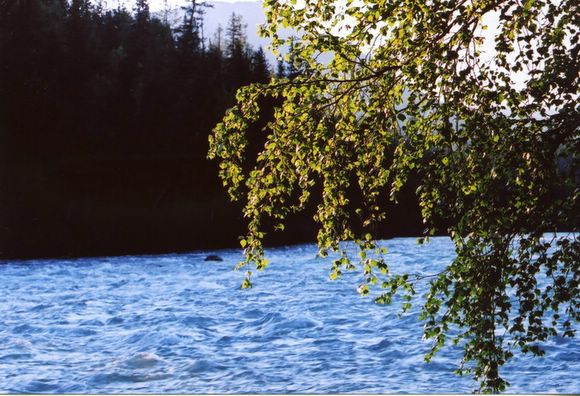 ��ɽ��  ���ߣ�szhgfox