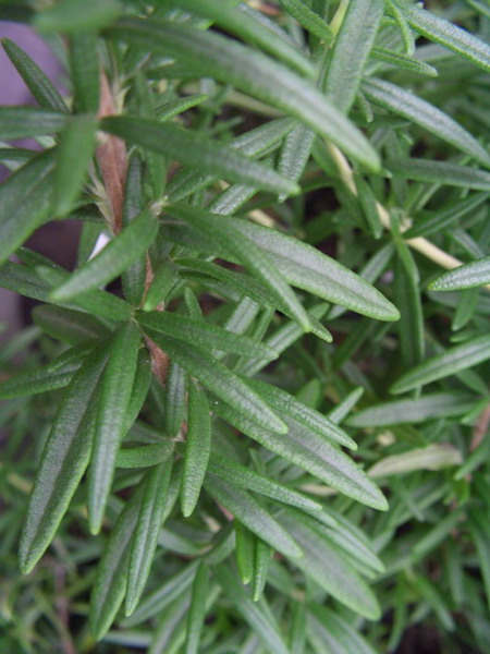 һ֦ˮ����Ե��㿪����